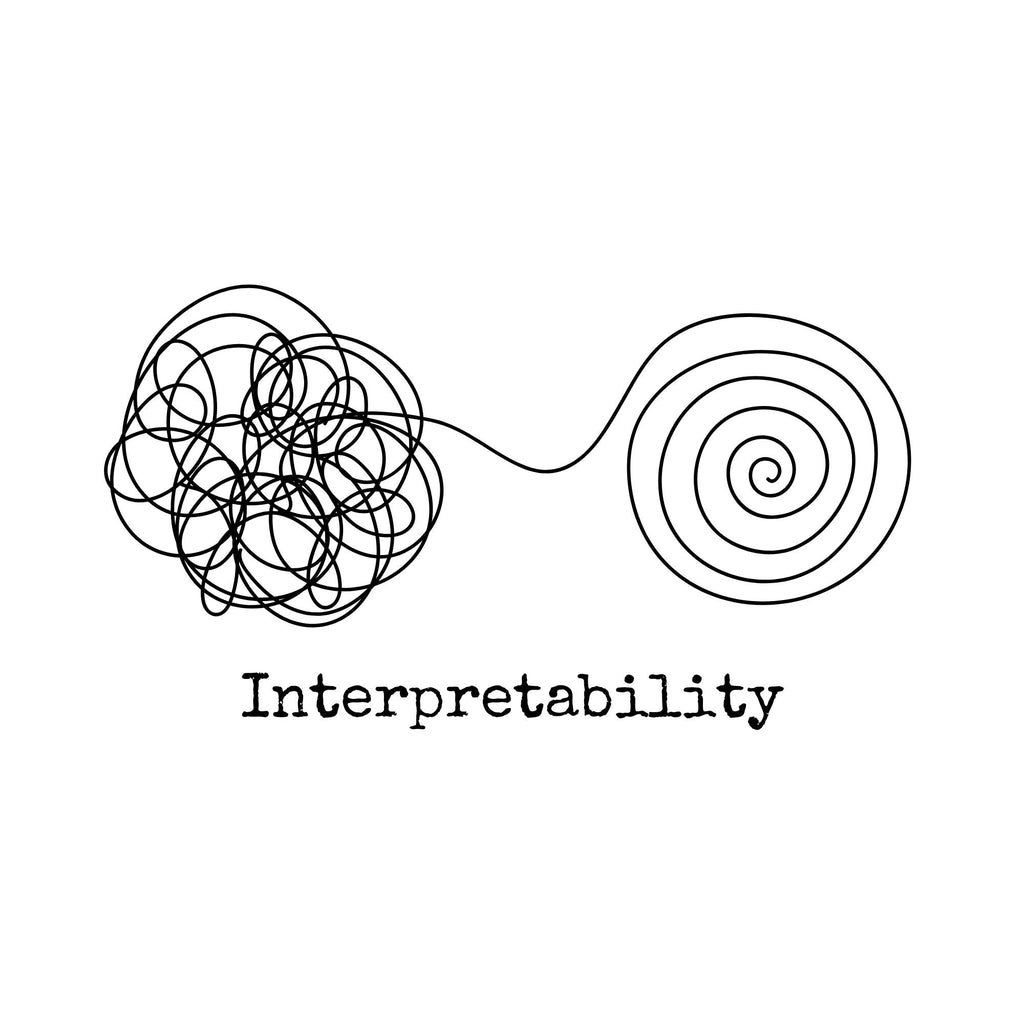 Image of the Interpretability T-Shirt.