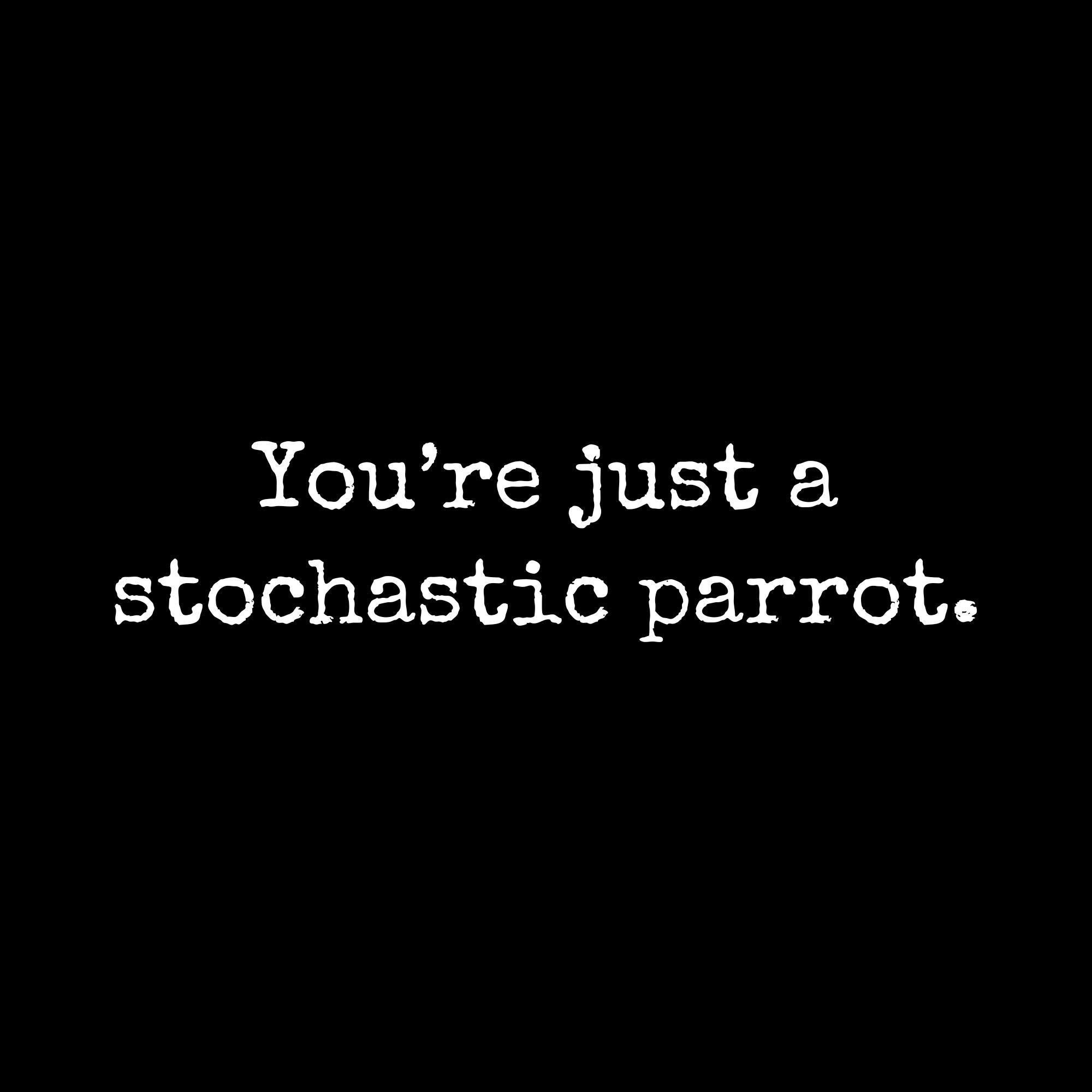 Image of the Just a Stochastic Parrot T-Shirt.