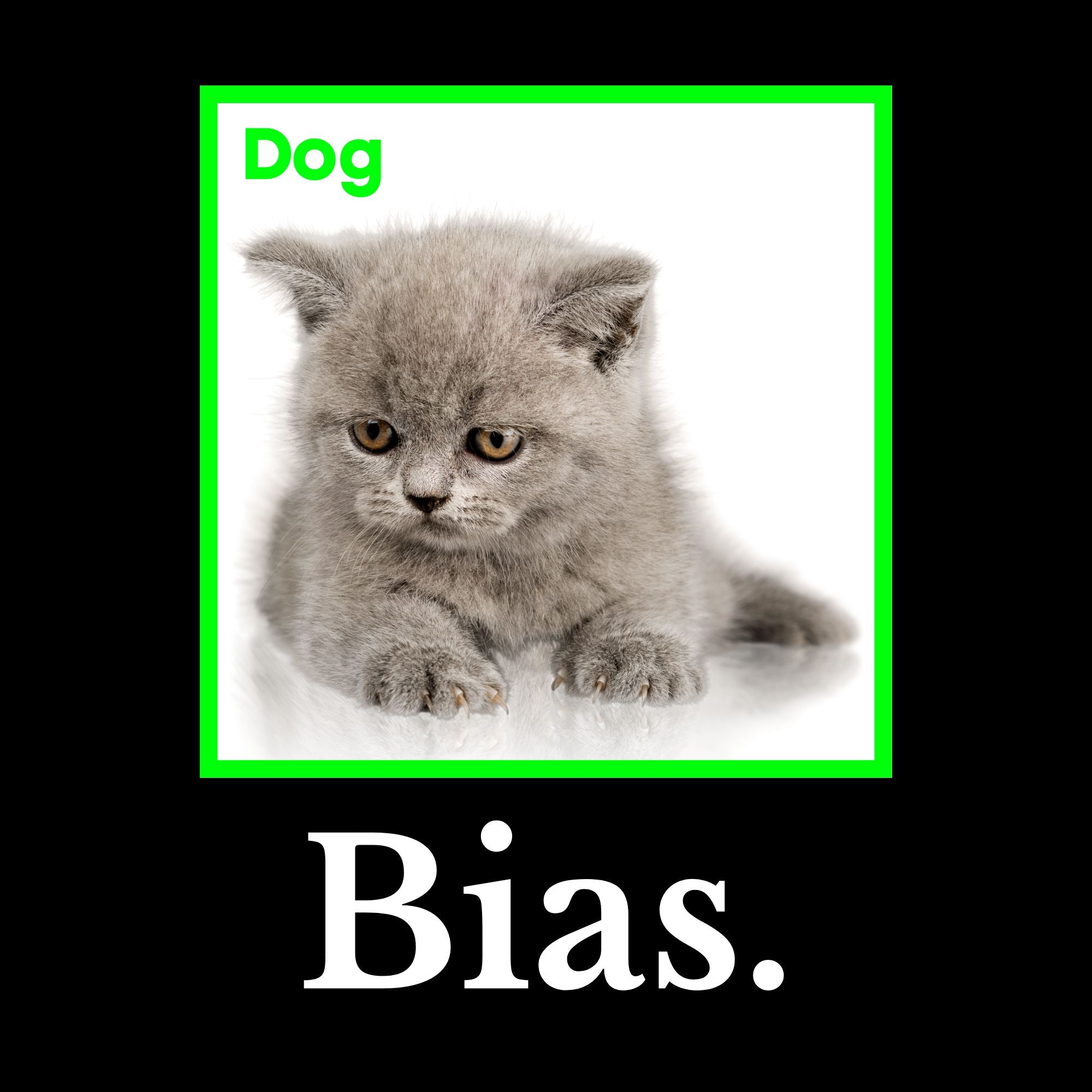 Image of the Machine Learning Bias T-Shirt.