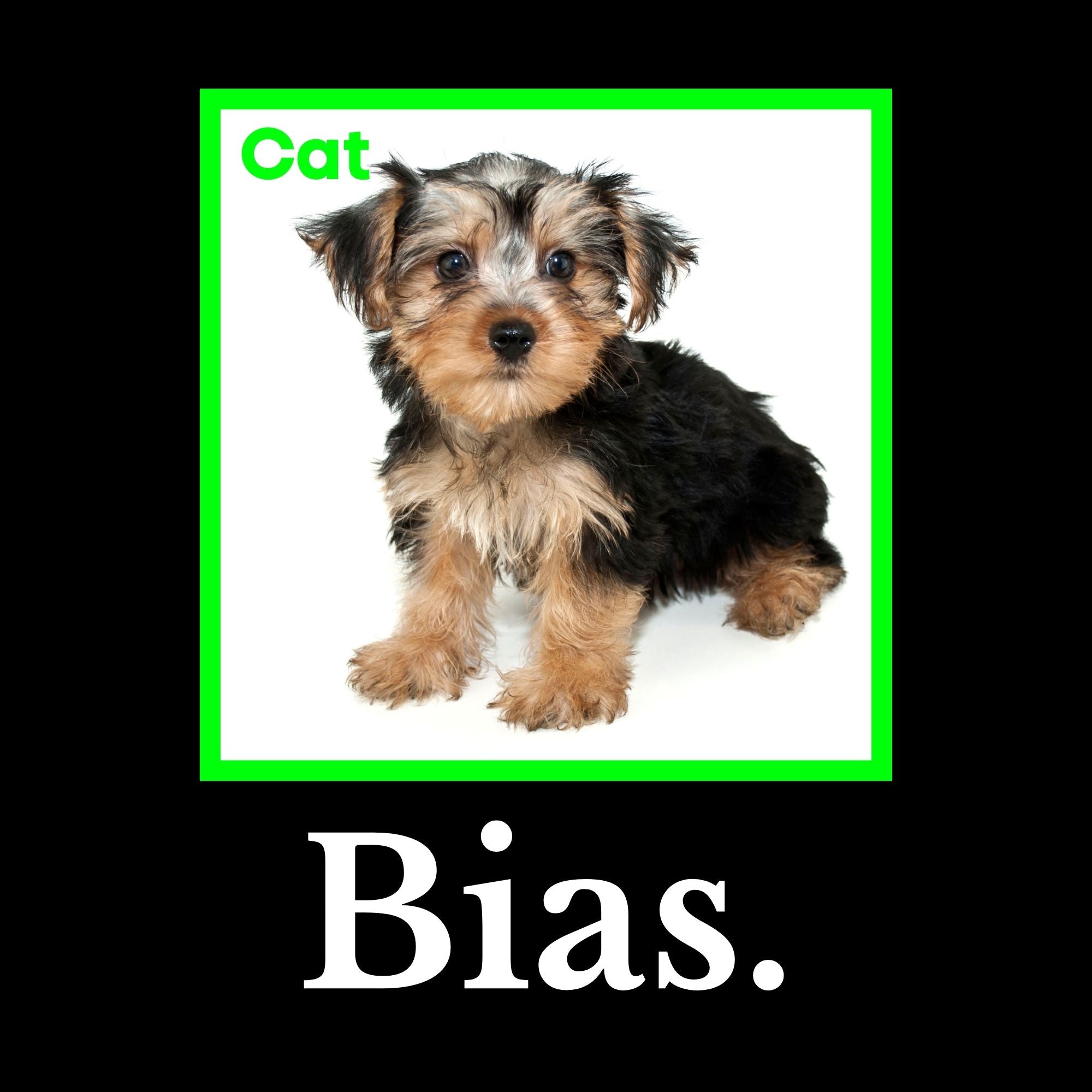 Image of the Machine Learning Bias T-Shirt.