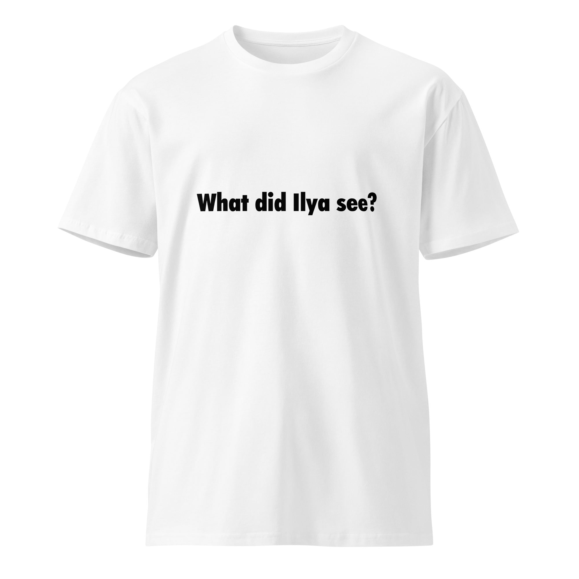 Image of the What Did Ilya See T-Shirt.