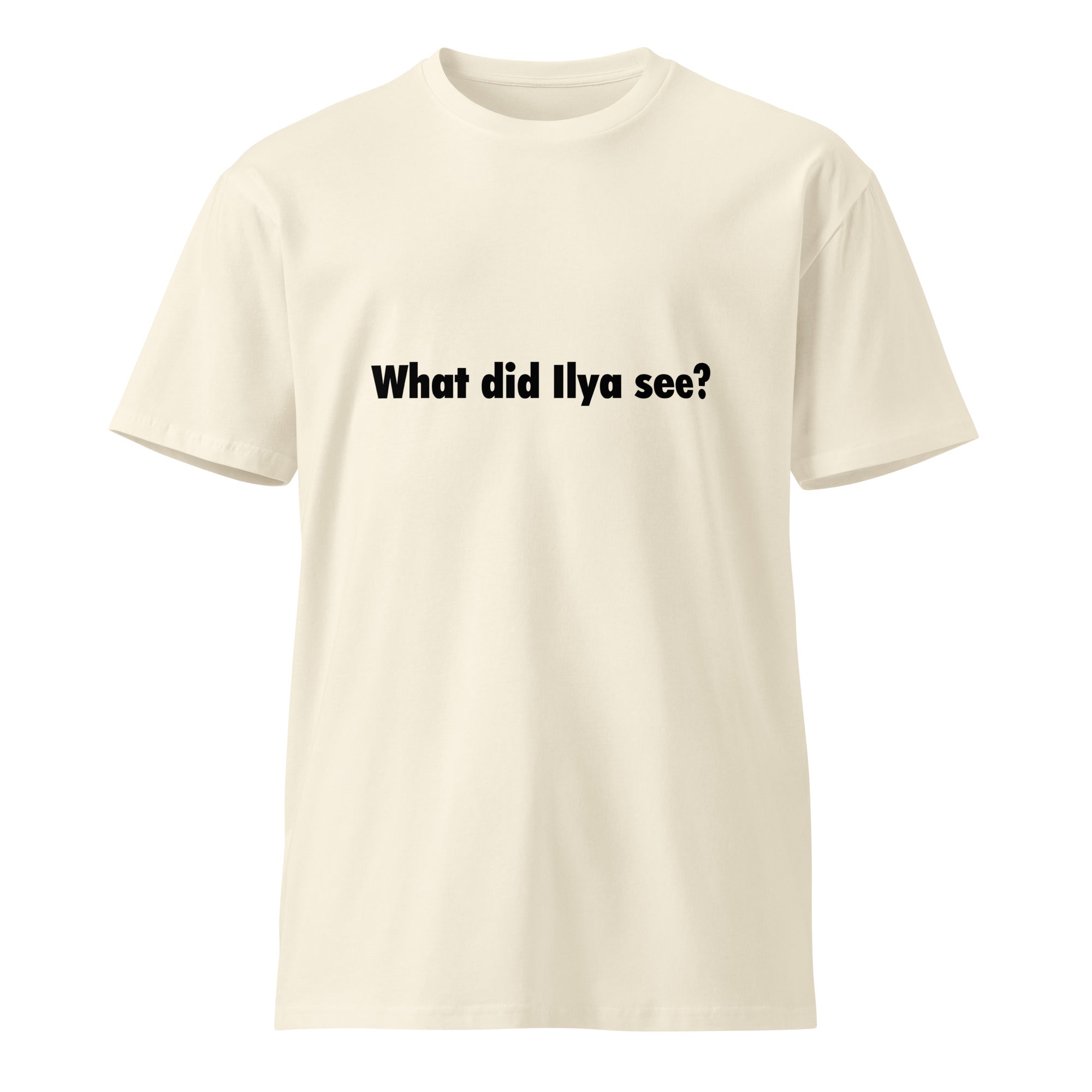 Image of the What Did Ilya See T-Shirt.