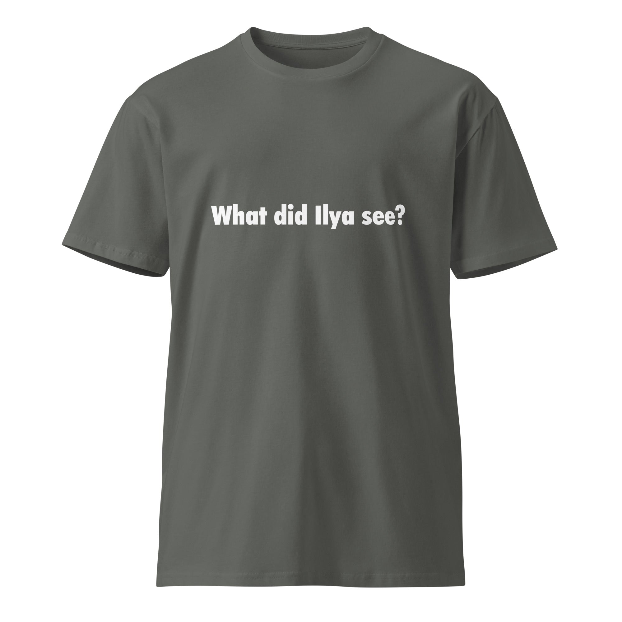 Image of the What Did Ilya See T-Shirt.