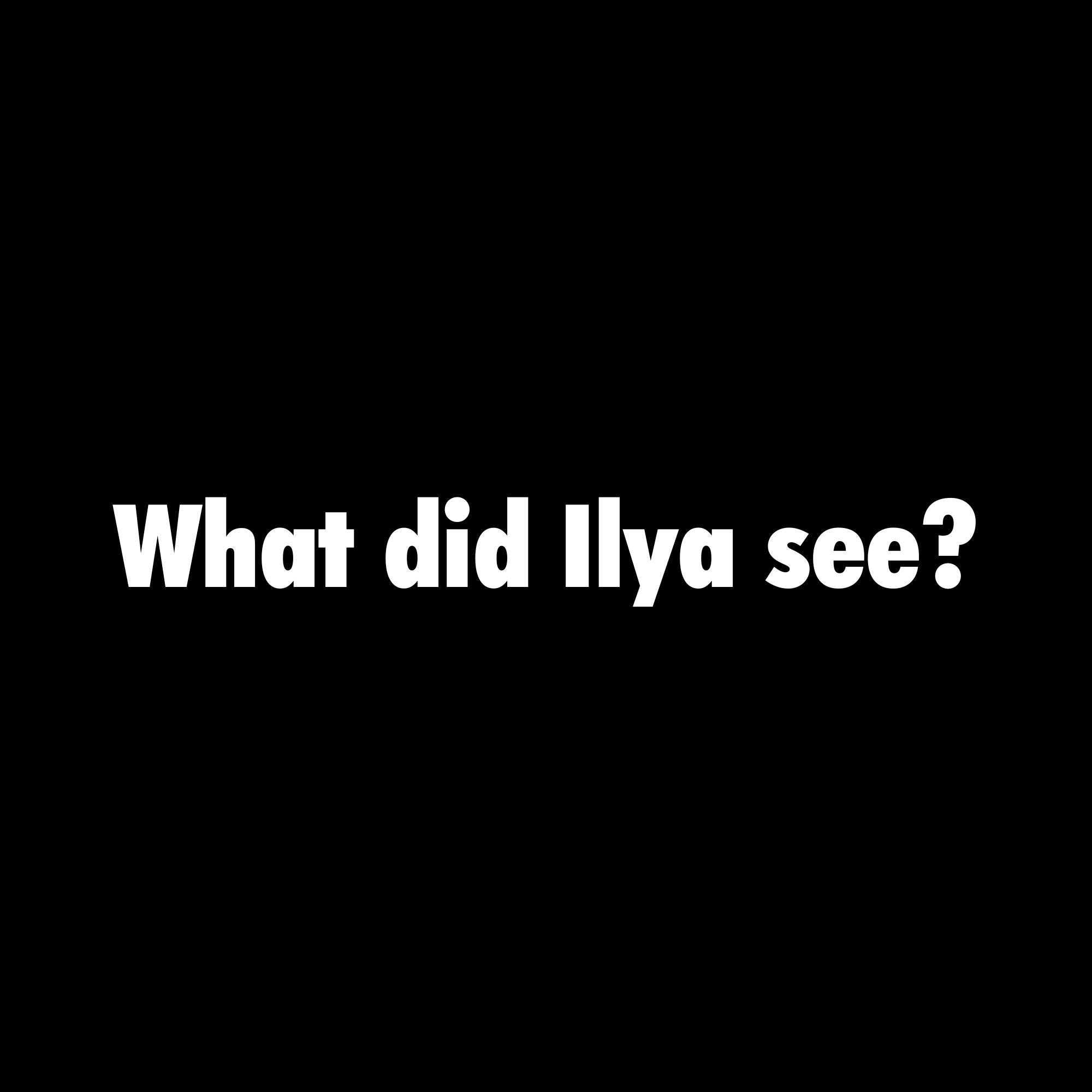 Image of the What Did Ilya See T-Shirt.