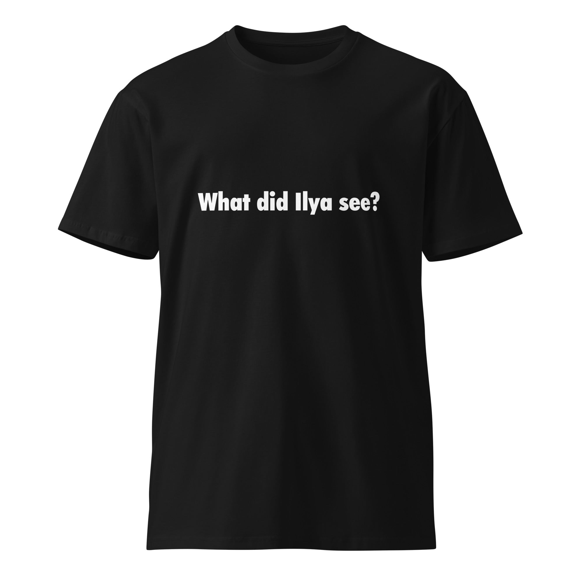 Image of the What Did Ilya See T-Shirt.