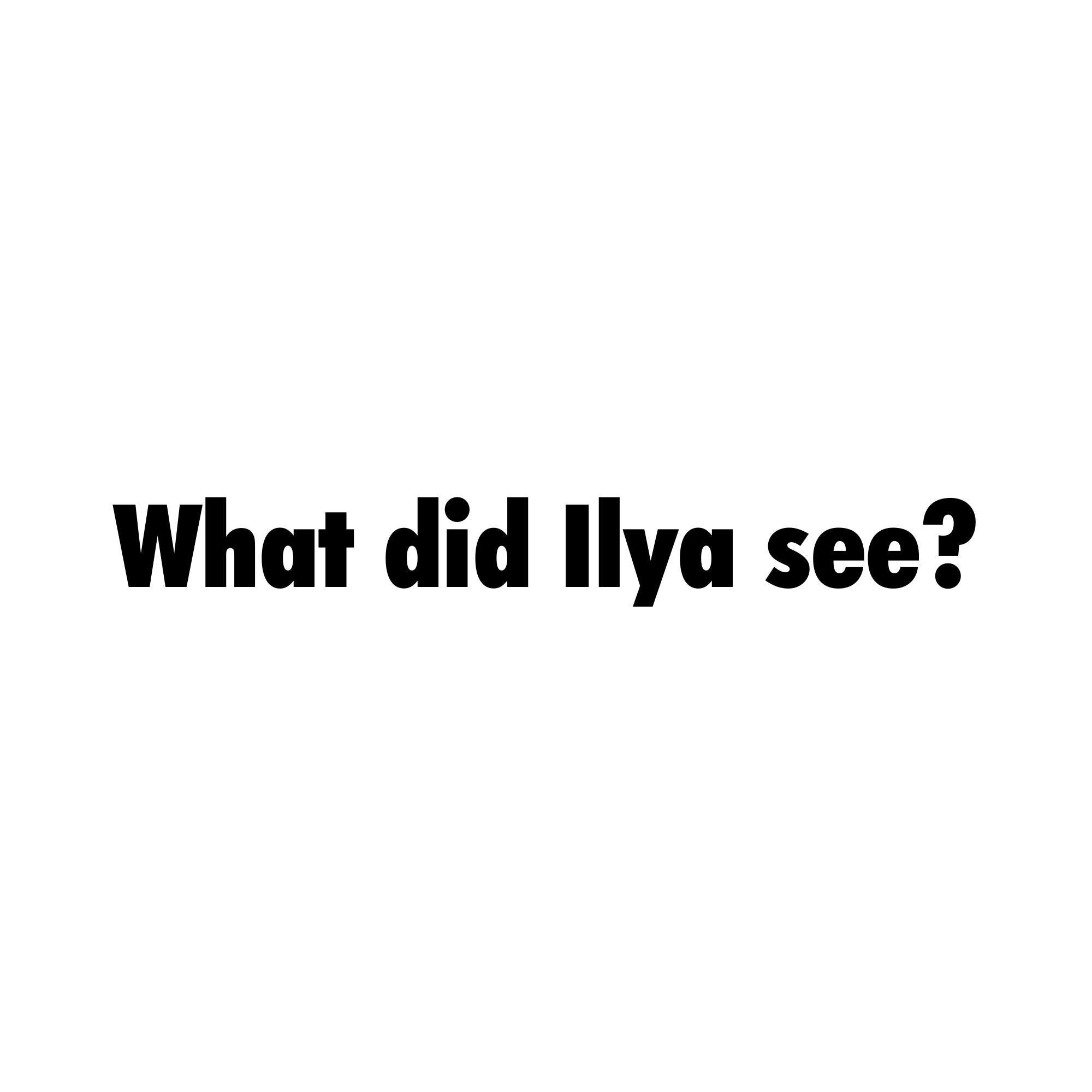 Image of the What Did Ilya See T-Shirt.